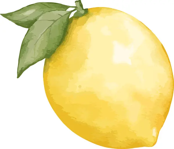 レモンフルーツ水彩イラスト 隔離された要素 — ストックベクタ