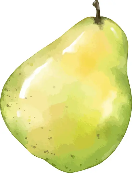 Αχλάδι Φρούτα Ακουαρέλα Απεικόνιση Απομονωμένο Στοιχείο — Διανυσματικό Αρχείο