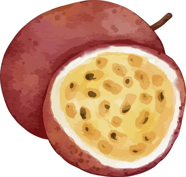Passionfrukt Akvarell Illustration Isolerad Element — Stock vektor