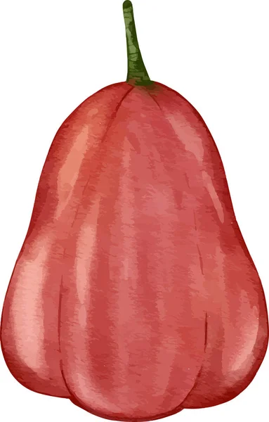 Ros Äpple Frukt Akvarell Illustration Isolerat Element — Stock vektor