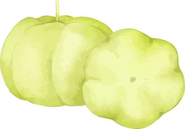 Αστέρι Gooseberry Φρούτων Υδατογραφία Απεικόνιση Απομονωμένο Στοιχείο — Διανυσματικό Αρχείο