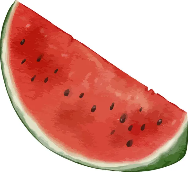 Vattenmelon Frukt Akvarell Illustration Isolerat Element — Stock vektor