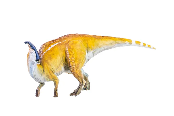 Parasaurolophus Dinozaur Pojedyncze Tło — Zdjęcie stockowe