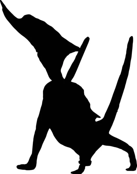 Dsungaripterus Zwart Silhouet Geïsoleerde Achtergrond — Stockvector