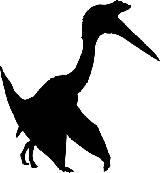 Pterosaurus Zwart Silhouet Geïsoleerde Achtergrond — Stockvector