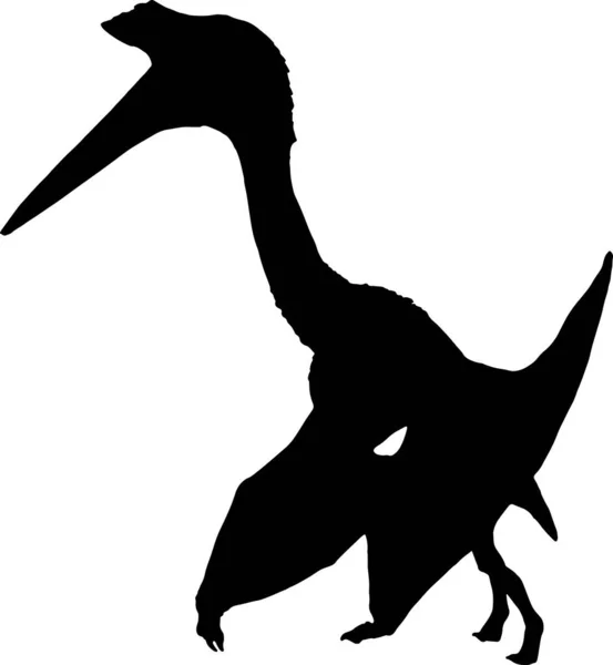 Pterosaur Black Silhouette Isolated Background — Stock Vector