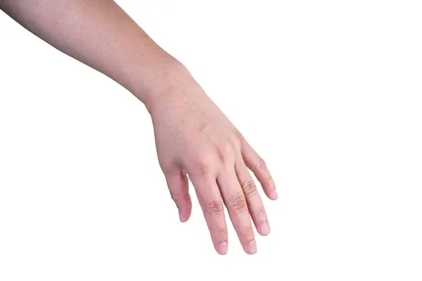 Hand Isolated Background Clipping Path Royalty Free Stock Images