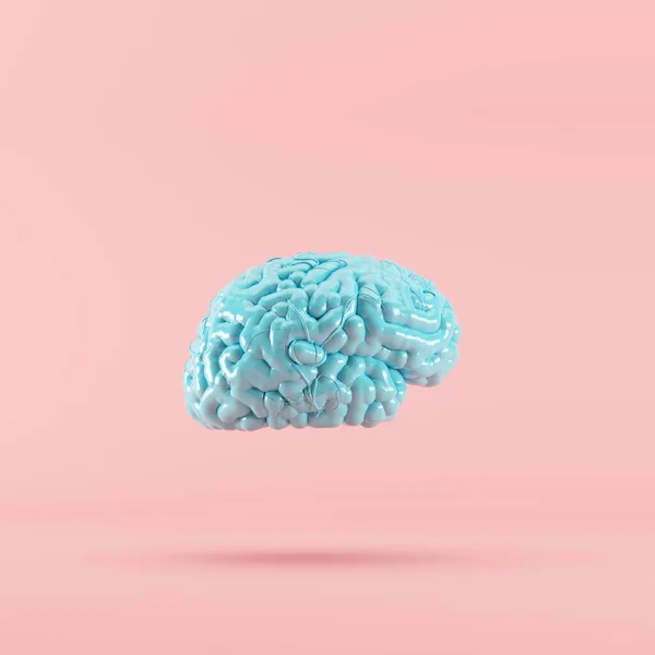 Cerebro Color Azul Flotando Sobre Fondo Rosa Render Concepto Idea Imagen de archivo