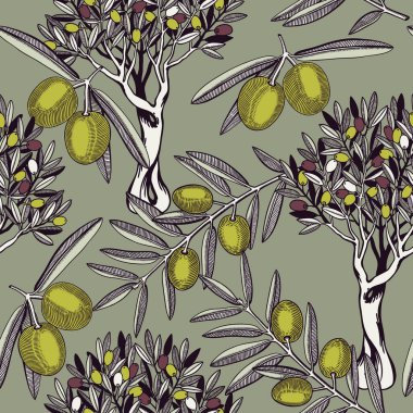 Olive tree vector background. Decorative twigs with leaves and olive fruit in color. Natural olive oil ingredient seamless pattern. Healthy food plant design for print or packaging