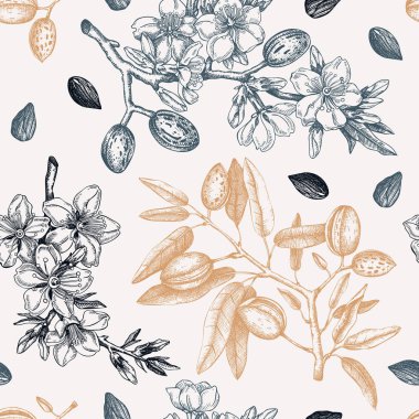 Almond branches vintage background design. Blooming tree twigs with nuts, flowers, leaves backdrop. Floral spring garden background. Botanical vector illustration for packaging, wrapping, prints