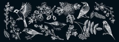 Flowering branches and birds drawings collection. Vintage cherry, almond, willow, rowan, currant flowers sketches set. Botanical vector illustrations of spring blooming trees isolated on chalkboard