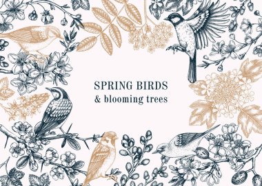 Spring garden background. Vintage frame designs with birds, flowers, leaves and blooming tree branches. Hand drawn almond, willow, rowan, willow, cherry blossom floral sketches for prints or banners