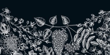 Flowering branches vintage background. Hand drawn almond, willow, rowan, currant, lilac, cherry blossom sketches. Botanical vector banner design of spring trees in flowers on chalkboard. Vintage card 