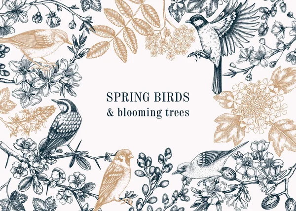 Spring Garden Background Vintage Frame Designs Birds Flowers Leaves Blooming — Stockvector