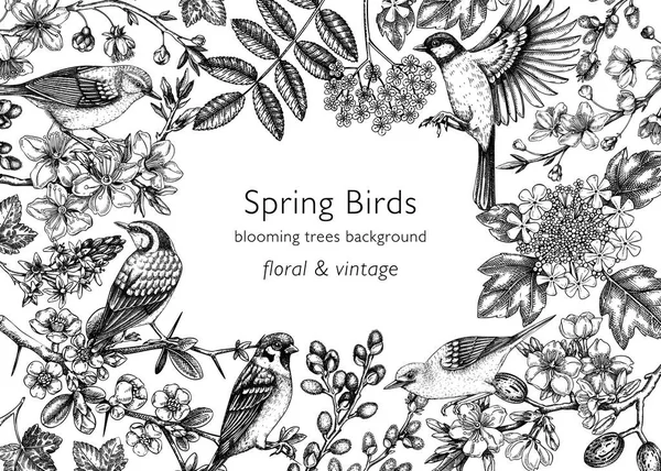 Frühling Vögel Vintage Rahmen Designs Vektorhintergrund Mit Vögeln Blumen Blühenden — Stockvektor
