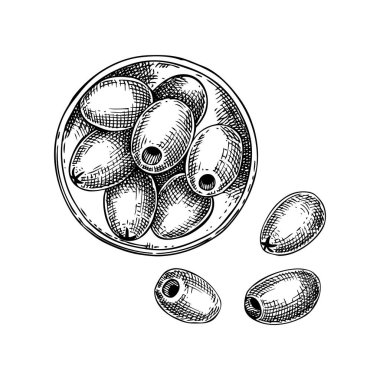 Vector composition with olives in glass bowl. Hand drawn olive fruit illustration in engraved style. Healthy food ingredients sketches isolated on white background. For packaging or print design