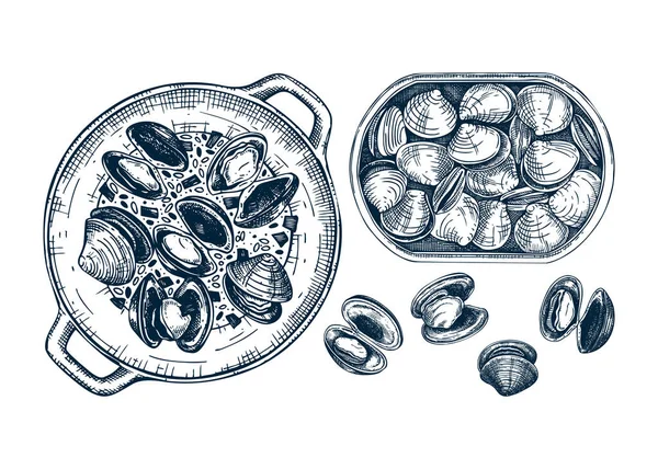 Almejas Cocidas Con Hierbas Ilustración Del Plato Mariscos Mariscos Elemento — Archivo Imágenes Vectoriales