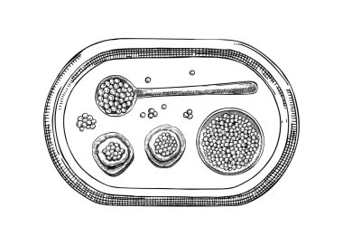 Restoran menüsü tasarımı için çizilmiş deniz ürünleri lezzeti kompozisyonu. Konserve havyarlı el yapımı tepsi, kırmızı havyar kanepesi, limon ve kaşık çizimleri. Parmak yiyecekleri çizilmiş arka plan