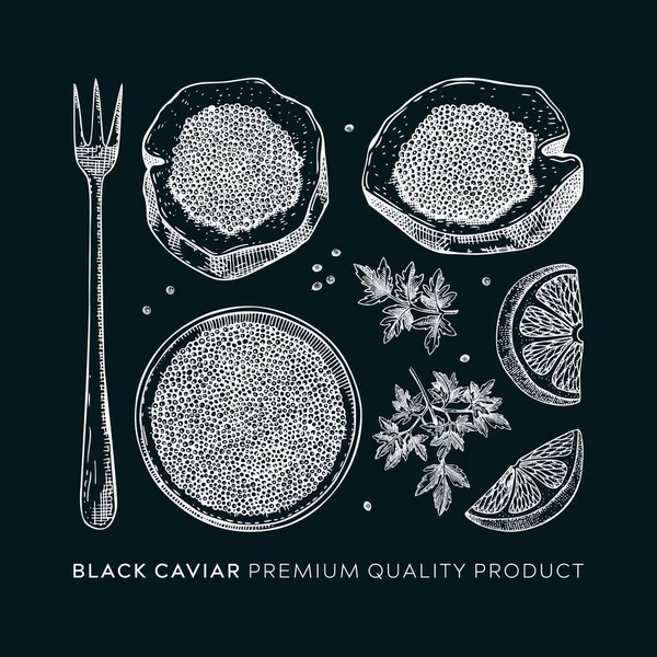 Bozzetti Caviale Nero Disegnati Mano Isolati Lavagna Caviale Nero Lattina — Vettoriale Stock