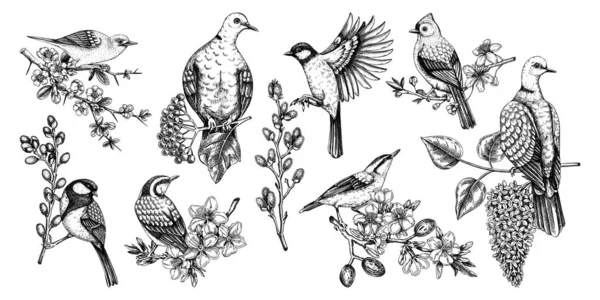 Frühling Garten Hintergrund Vintage Nahtlose Pattern Mit Vögeln Blumen Blättern — Stockvektor