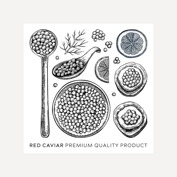 Dibujos Caviar Rojo Dibujados Mano Establecidos Aislados Sobre Fondo Blanco — Archivo Imágenes Vectoriales