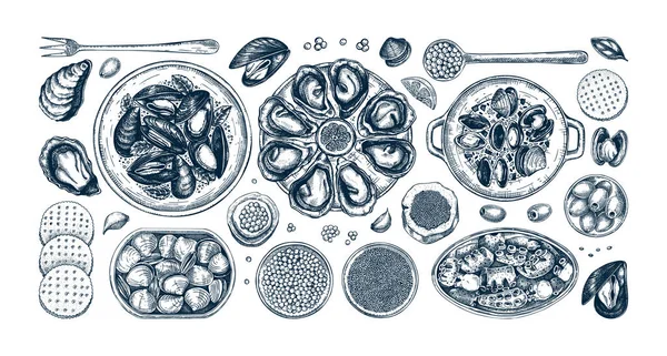 Sammlung Von Meeresfrüchte Buffet Illustrationen Vintage Stil Handgezeichnete Schalentiere Muscheln — Stockvektor