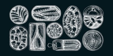 El yapımı konserve balık ve kabuklu deniz ürünleri koleksiyonu. Sardalya, ançüez, uskumru, ton balığı ve kabartmalı çizimler yapılmış midyeler. Tahtaya sağlıklı besin vektörü çizimleri