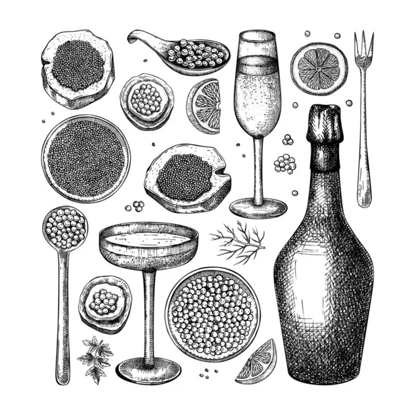 Havyar Şampanya Yapımı Illüstrasyon Koleksiyonu Yapımı Kırmızı Havyar Konserve Siyah — Stok Vektör