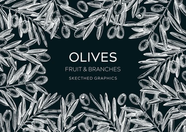 Olive Tree Branches Vintage Frame Design Frutos Dibujados Mano Hojas — Archivo Imágenes Vectoriales