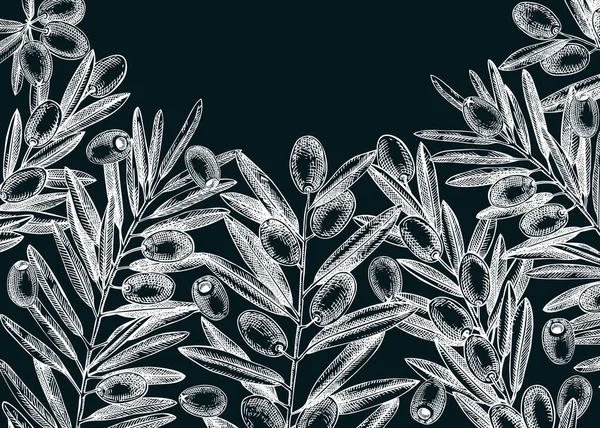 Φόντο Κλαδί Ελιάς Μαυροπίνακα Σχεδιασμός Vector Banner Σχέδια Φύλλων Και — Διανυσματικό Αρχείο