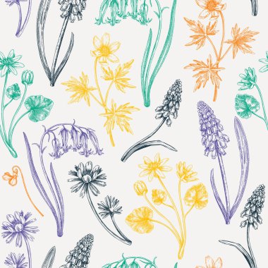 Seamless spring flowers pattern. Hand-drawn wildflowers background. Forest plant and wild flowers illustration. Bluebell, grape hyacinth, muscari, fritillary, winter aconite, wood anemone background