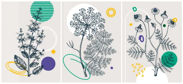 Collage Style Καλοκαίρι Βότανα Διανυσματική Απεικόνιση Χειροποίητο Σετ Πανό Λουλουδιών — Διανυσματικό Αρχείο