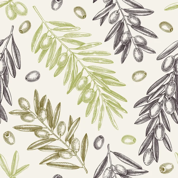 橄榄枝无缝花纹 有叶子 浆果和水果素描风格的向量背景 植物油配料背景 Olive Tree Texture Print Packaging Design — 图库矢量图片