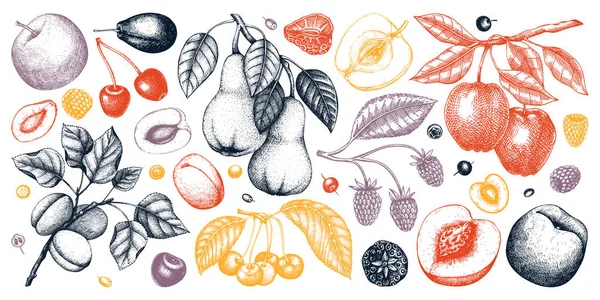 放在黑板上的浆果和水果插图 手绘果树 覆盆子 草莓的素描风格 古色古香的健康食品绘画 — 图库矢量图片