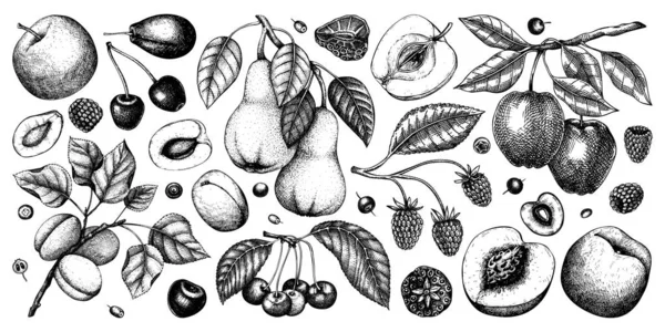 浆果和水果插图设置 手绘果树 覆盆子 草莓的素描风格 古色古香的健康食品绘画 — 图库矢量图片