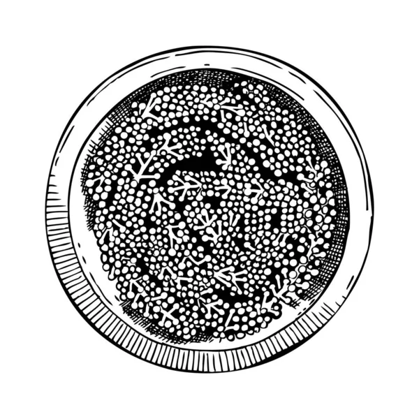 Cuenco Dibujado Mano Con Ensalada Umi Budo Esbozo Caviar Verde — Vector de stock