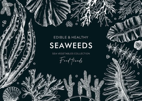Handgezeichneter Algenhintergrund Auf Kreidetafel Meeresgemüse Skizzen Vektorrahmen Mit Kelp Wakame — Stockvektor