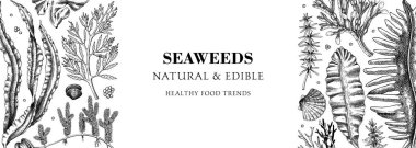 Edible seaweed banner design. Hand drawn food ingredients and vegetarian products frame. Sea vegetables - kelp, wakame, kombu, hijiki, Irish moss vector illustration. Asian cuisine menu with algae clipart