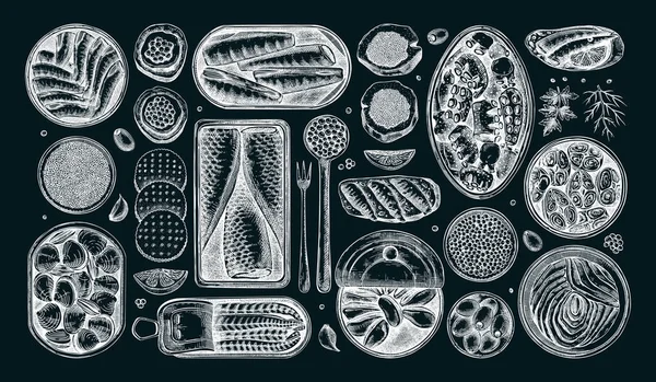 Ilustrace Mořských Plodů Tabuli Ručně Kreslená Sbírka Rybích Náčrtků Sardinky — Stockový vektor