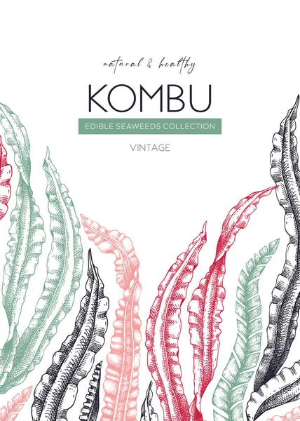 Handgetekend Kombu Kaart Ontwerp Laminaria Botanische Frame Zeewiertekening Geïsoleerd Witte — Stockvector