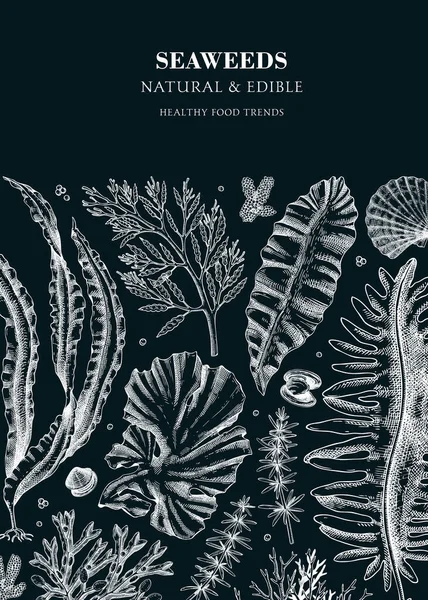Essbare Algen Auf Kreidetafel Handgezeichneter Kelp Kombu Wakame Hijiki Irisches — Stockvektor