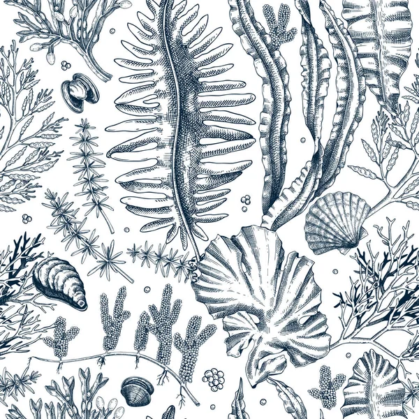 海の生活の背景 海藻のシームレスなパターンを編集できます 手描きの昆布 わかめ ひじき 貝殻のイラスト 水中植物や藻類のスケッチスタイル メニューデザイン またはラッピングの場合 — ストックベクタ
