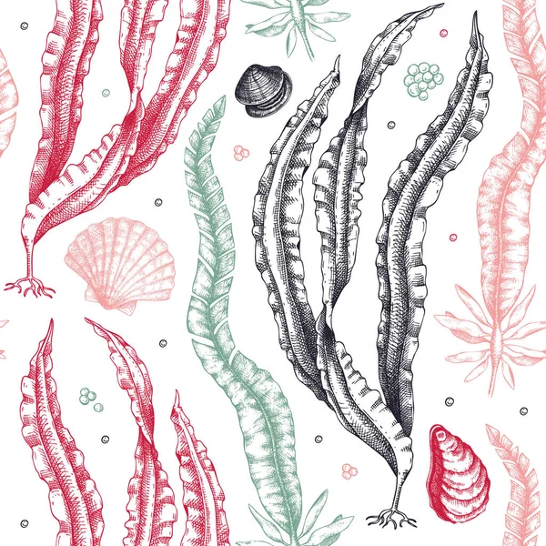 Hand Drawn Kombu Background Laminaria Botanical Illustration Sketch Style Edible — Stock Vector