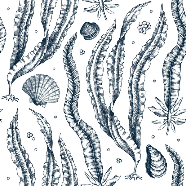 手描きの昆布の背景 スケッチスタイルでLaminaria植物イラスト 海藻のシームレスなパターンを編集できます 海の生き物の絵 メニューデザイン 包装紙 印刷のために — ストックベクタ