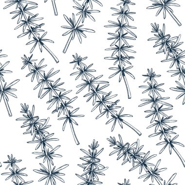 Eskiz tarzında yenilebilir yosun arka planı. Vektör gıda çizimi. Hijiki çizimleri. Sualtı bitkileri tekstil, ambalaj, ambalaj kağıdı veya baskılar için pürüzsüz desen.