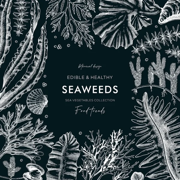 Seaweed Vektor Kort Design Tavlan Ätliga Alger Vintage Ram Med — Stock vektor