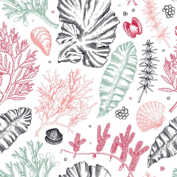 海洋生命背景为彩色 食用海藻无缝图案 手绘海带 Wakame Hijiki 海贝壳插图 水下植物和海藻草图 菜单设计或纺织品用 — 图库矢量图片
