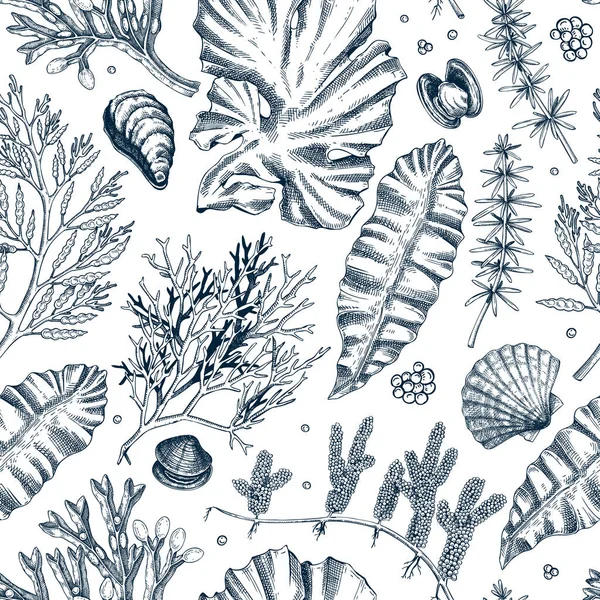 海の生活の背景 海藻のシームレスなパターンを編集できます 手描きの昆布 わかめ ひじき 貝殻のイラスト 水中植物や藻類のスケッチ メニューのデザインや生地のために — ストックベクタ