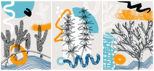 Illustrazione Vettoriale Alghe Marine Stile Collage Set Banner Piante Subacquee — Vettoriale Stock