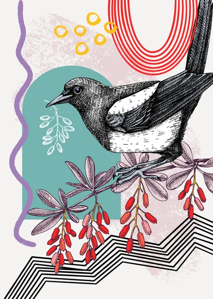 Collage Estilo Urraca Vector Ilustración Pájaro Dibujado Mano Con Rama — Archivo Imágenes Vectoriales